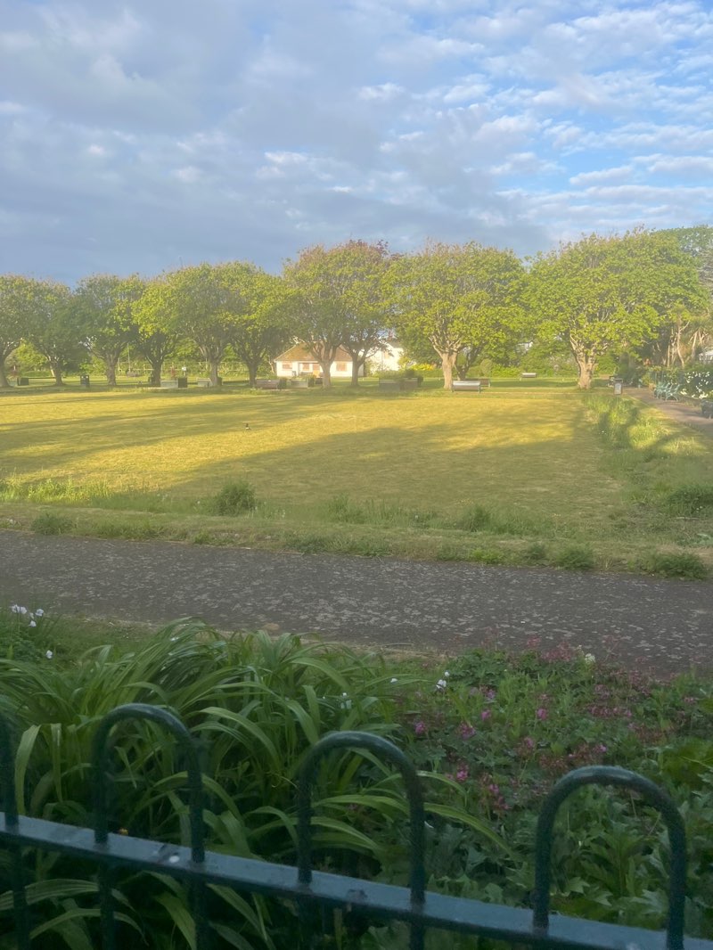 walking near me in Beach House Park in spring