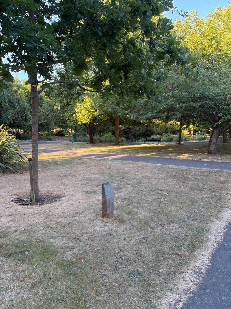 walking near me in Beach House Park in summer