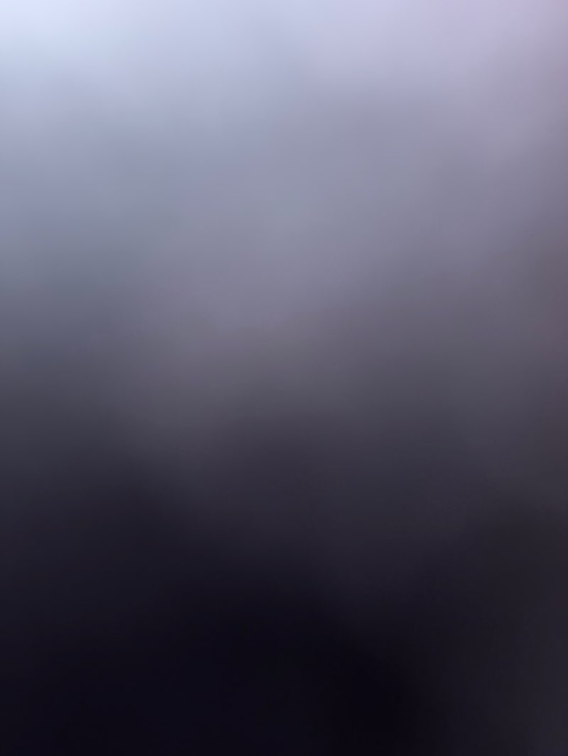 walking near me in Memorial Park in winter