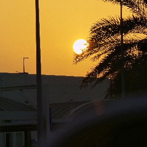 Sultan Alsalmani icon