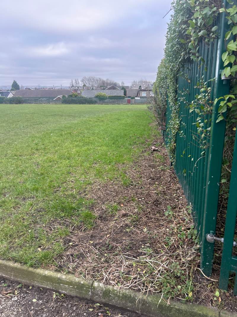 walking near me in Penrhyn Park in winter