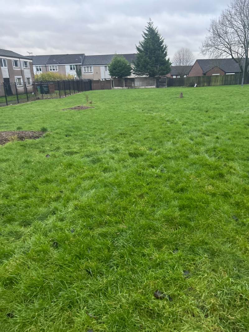 walking near me in Downs Estate Park in winter