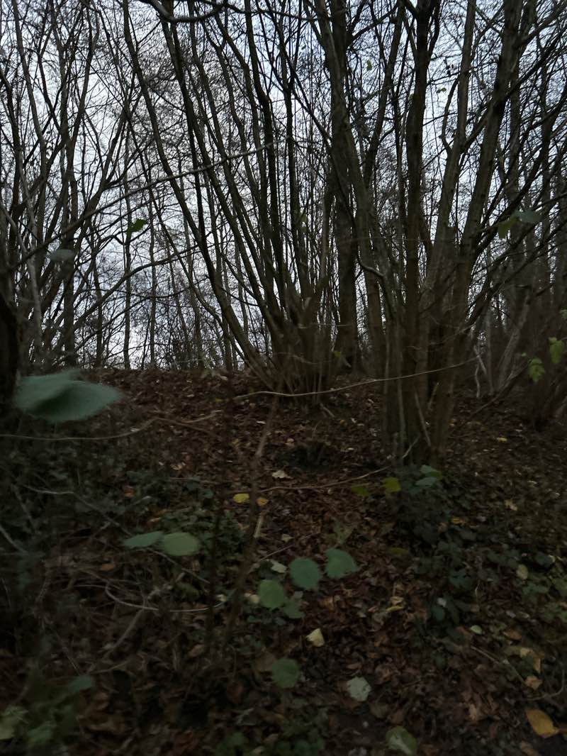 walking near me in Stadt Moers Park: Tushingham in winter