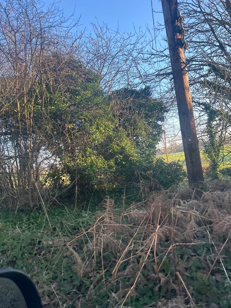 walking near me in Pex Hill in winter