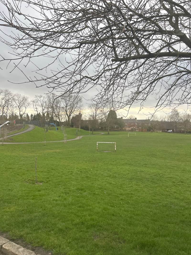 walking near me in Copster Park in winter