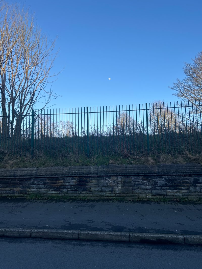 walking near me in Rumworth Park in spring