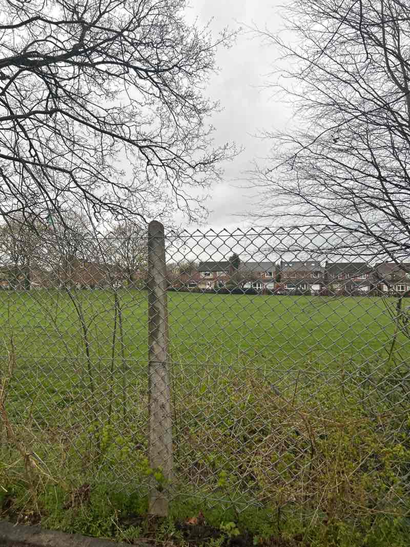 walking near me in St Andrew's Field in spring