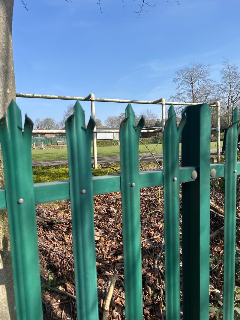 walking near me in Chesham Park in spring