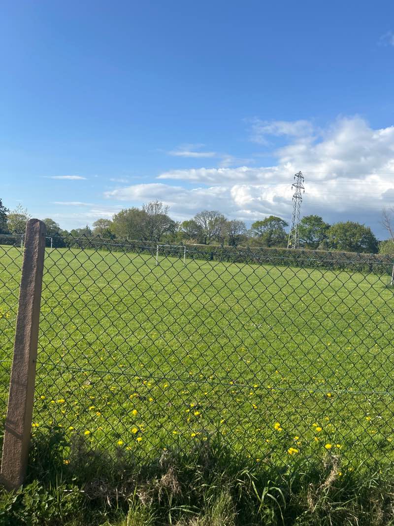 walking near me in Wellfield Lane Park in spring