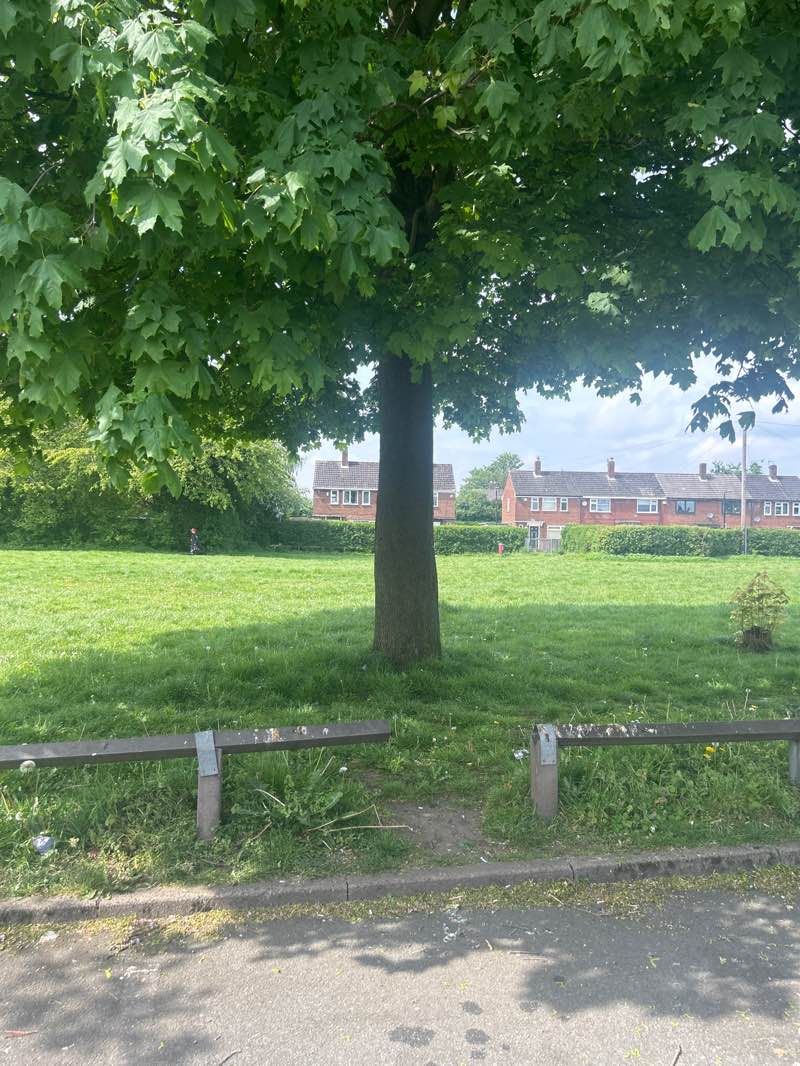 walking near me in Sunny Days Play Area in spring