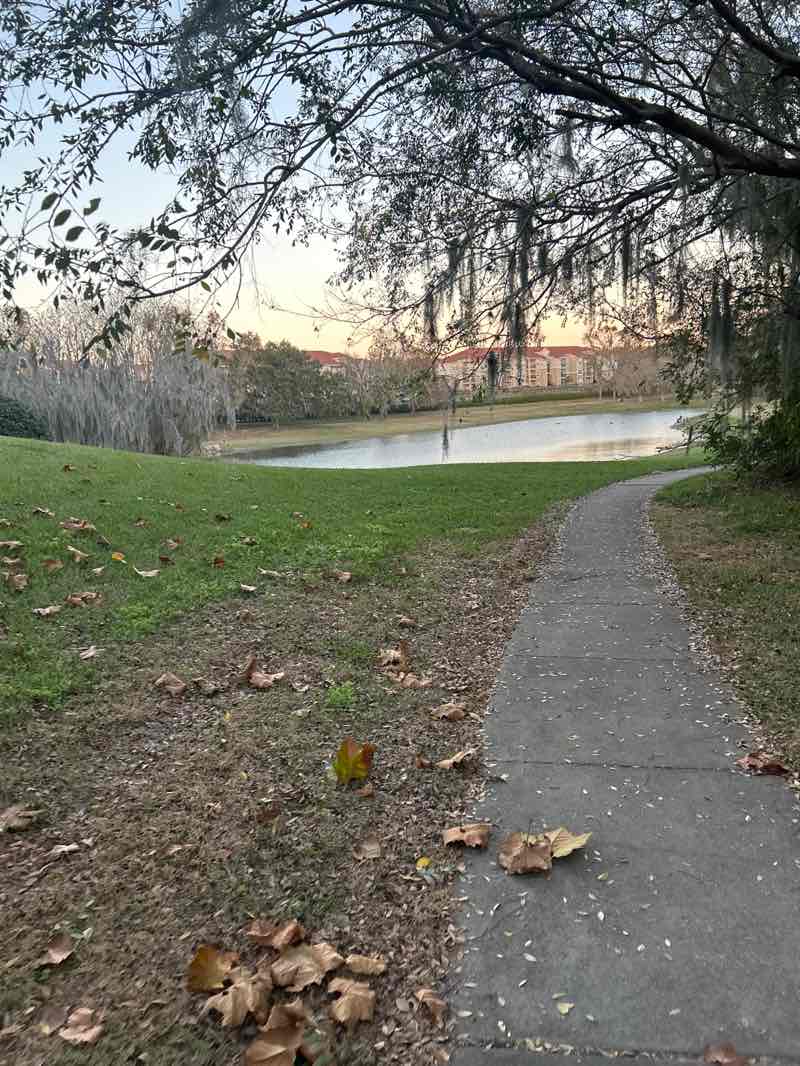 walking near me in Polly palmer park in winter