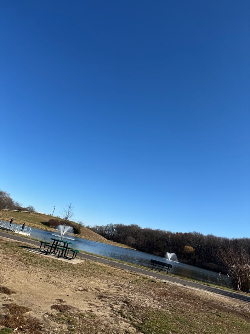 walking near me in Laurel Acres Park in autumn