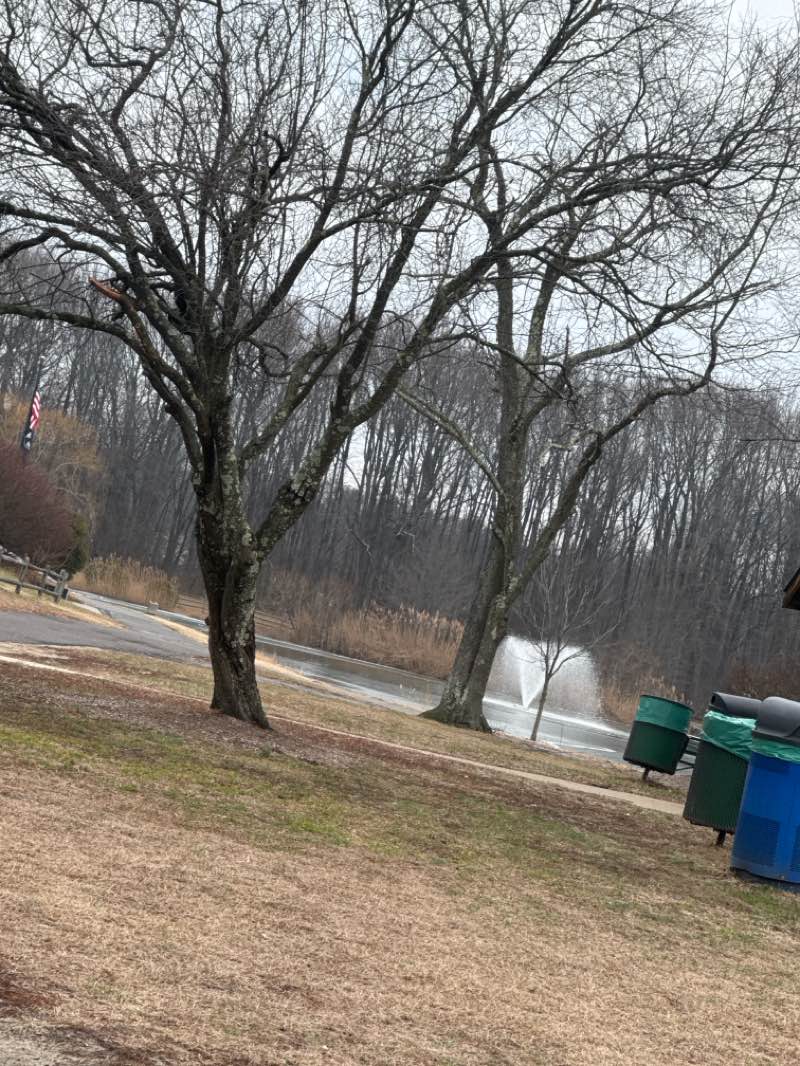 walking near me in Laurel Acres Park in winter