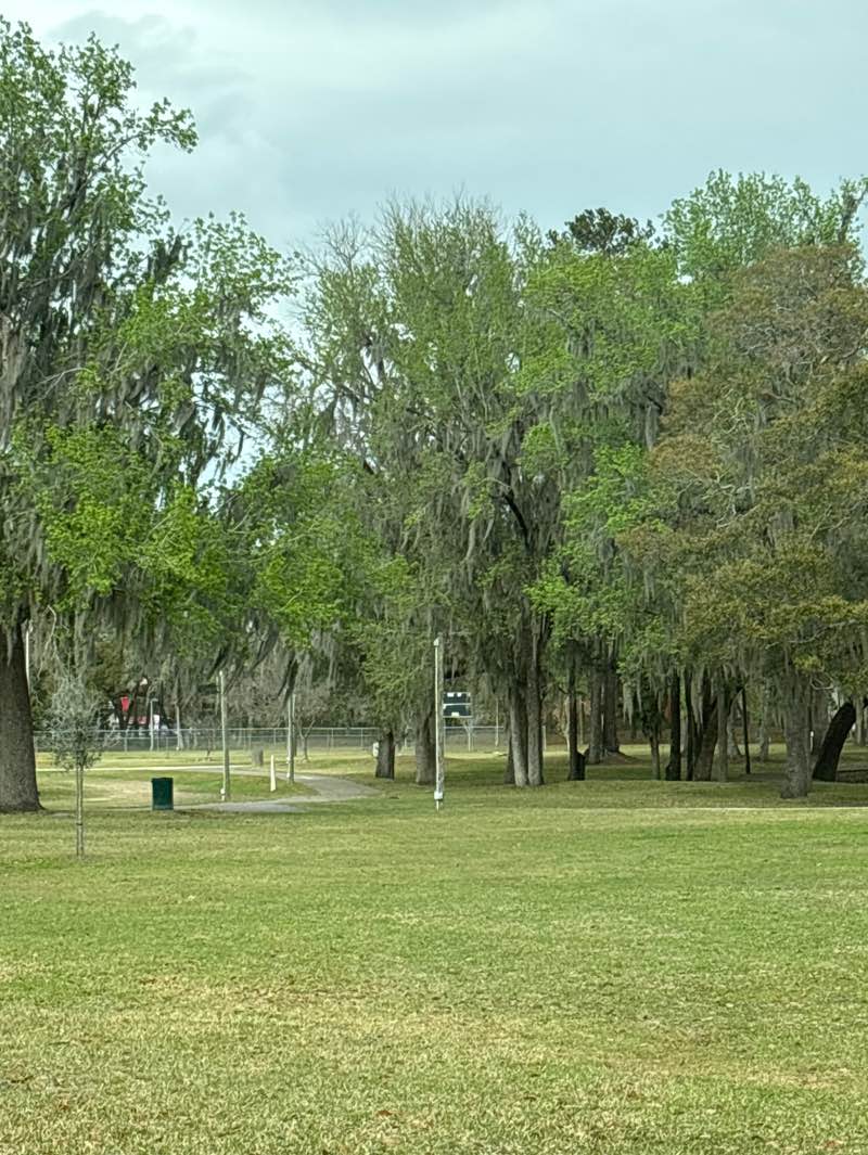 walking near me in Tom Varn Park in spring