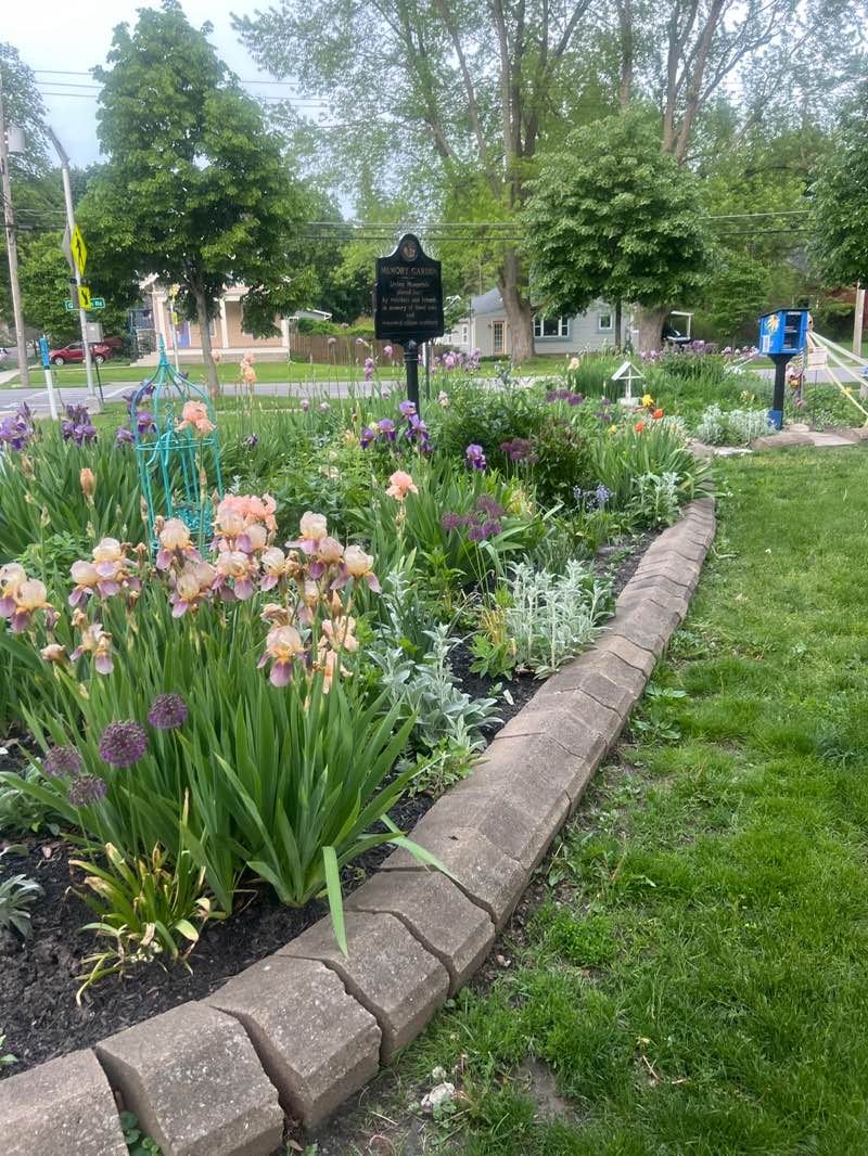 walking near me in Garrison Park in summer