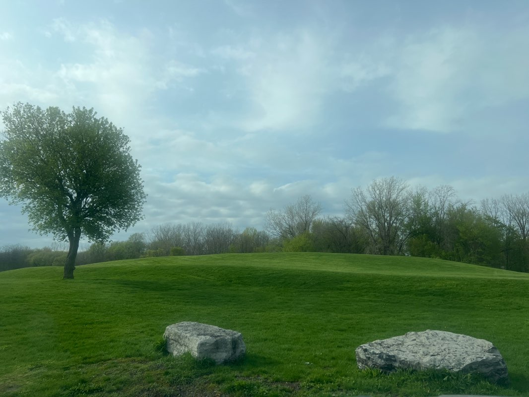 walking near me in Billy Wilson Park in spring