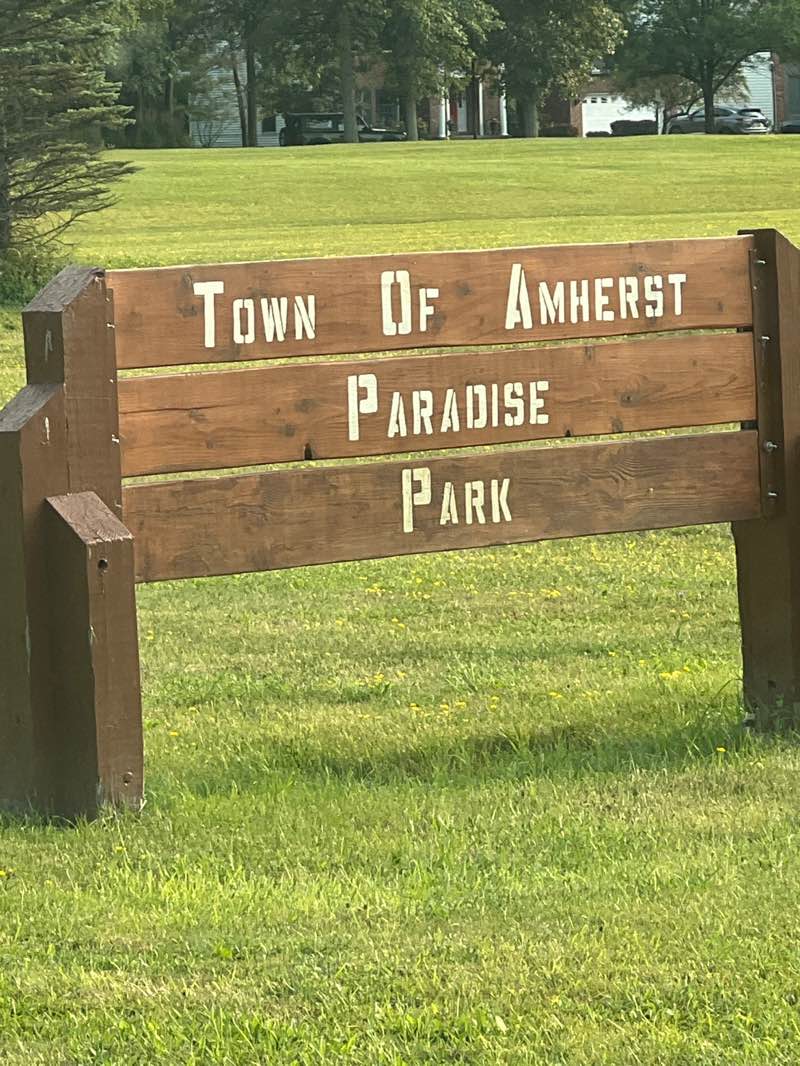 walking near me in Paradise Park in summer