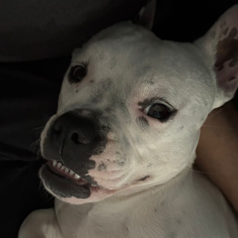 Theresa Johanna profile