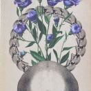 shin ee na 纪眠诗