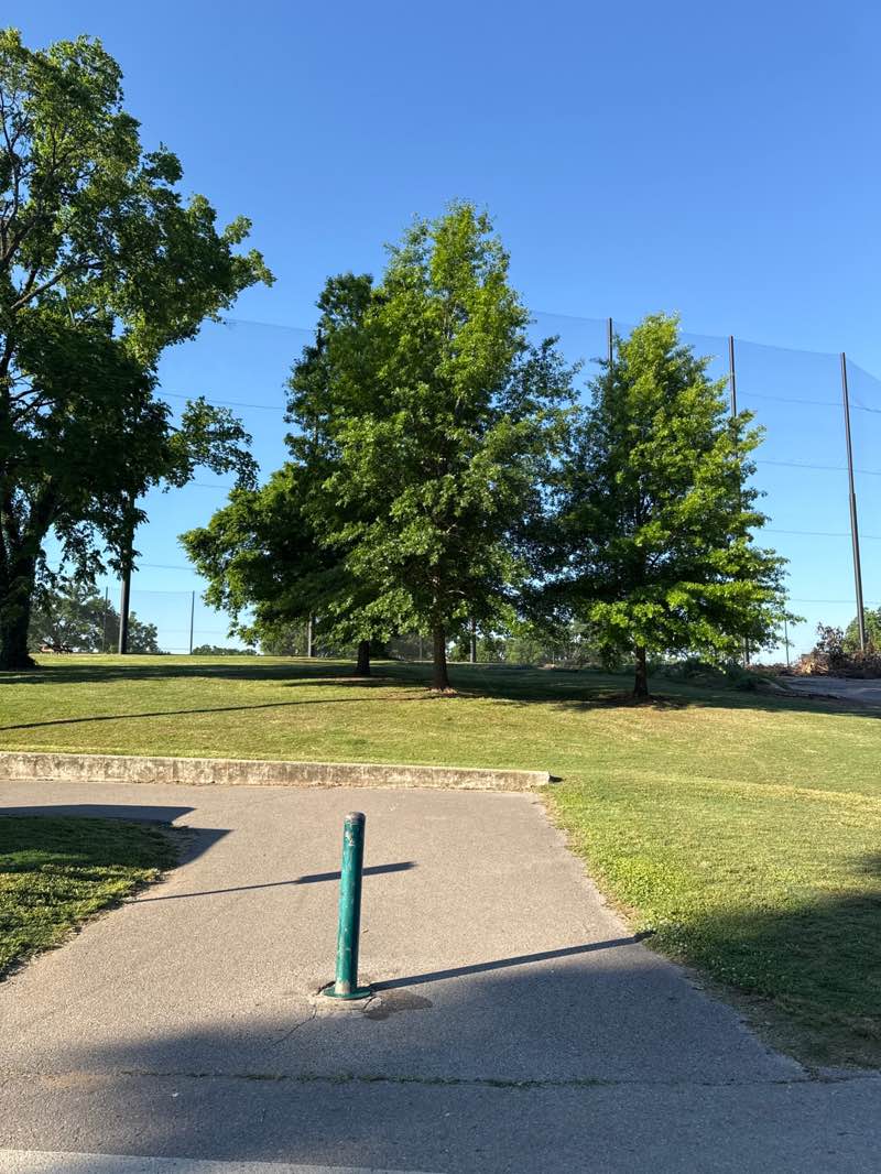 walking near me in McCabe Park in spring