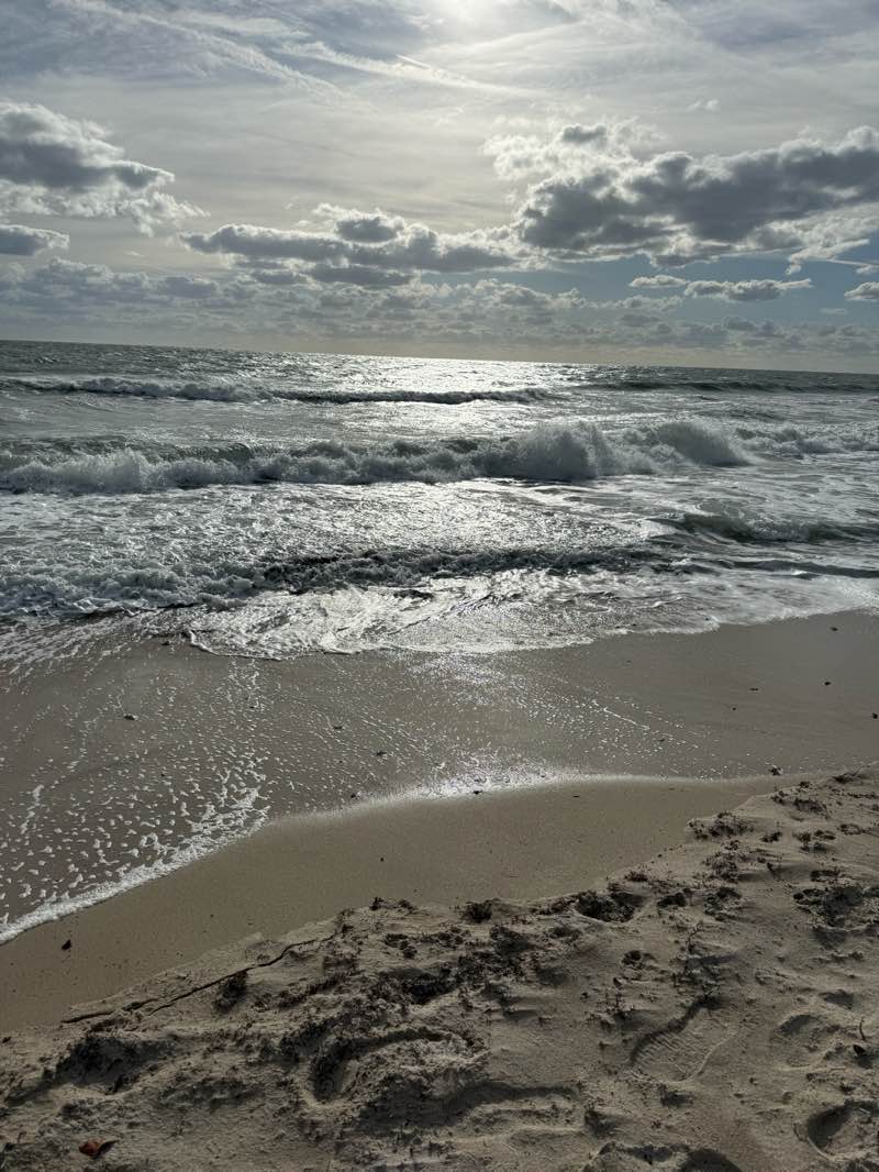 walking near me in Fort Pierce Inlet State Park in spring