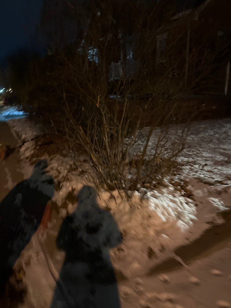 walking near me in Saint Marks Park in winter