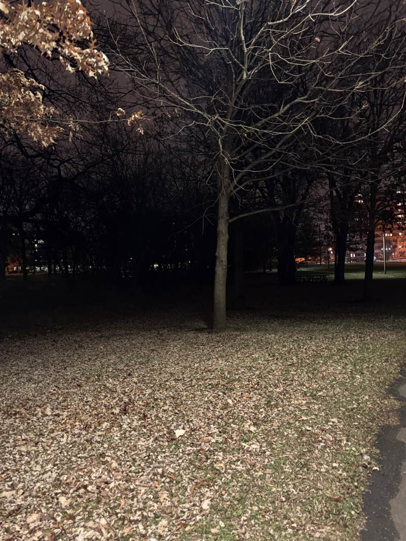 walking near me in Peach Orchard Park in winter