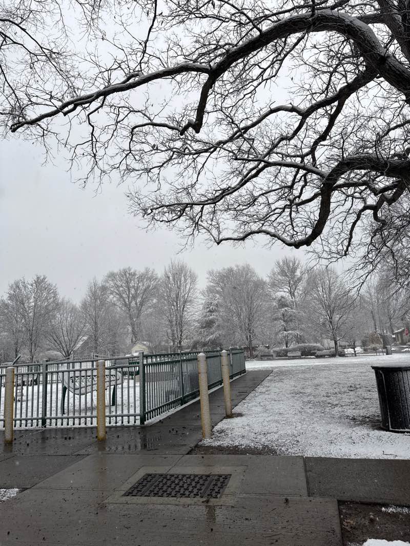 walking near me in Lincoln Park in winter