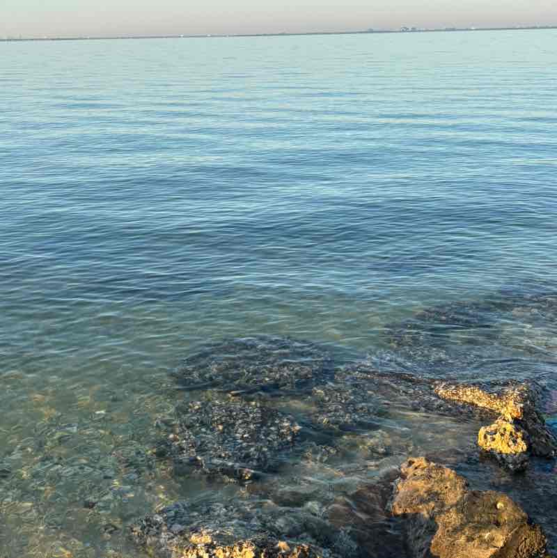 Alta Florida Fitness Club Wanda post image