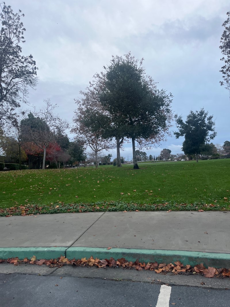 walking near me in Civic Center Park in winter