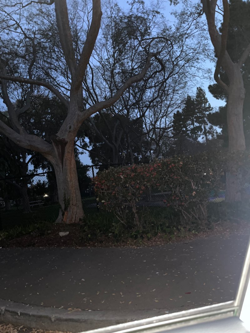 walking near me in Newark Community Park in winter