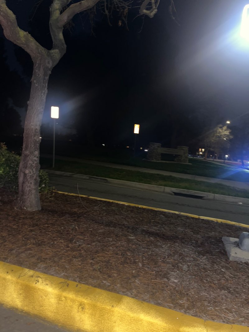 walking near me in Deep Creek Park in winter