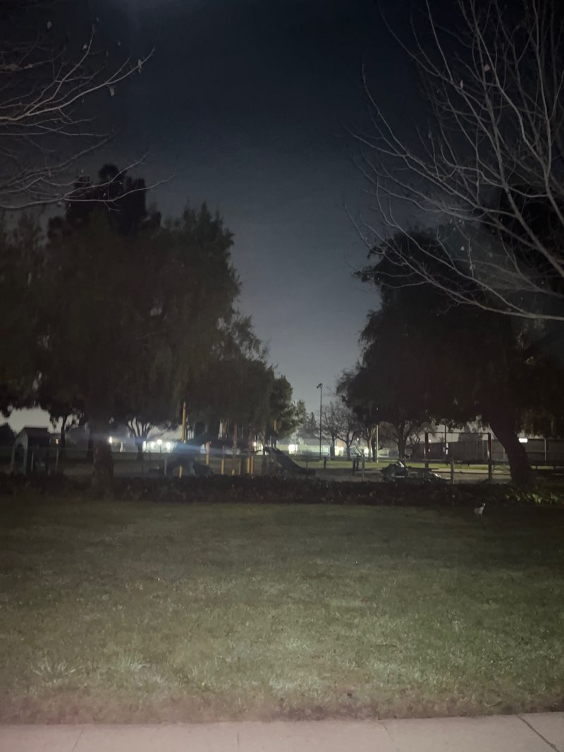 walking near me in Hall Memorial Park in winter