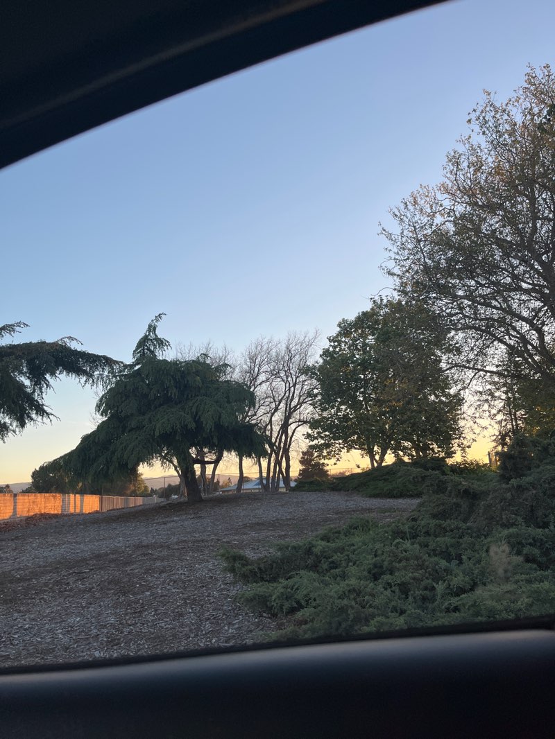 walking near me in Bridgepoint Park in spring