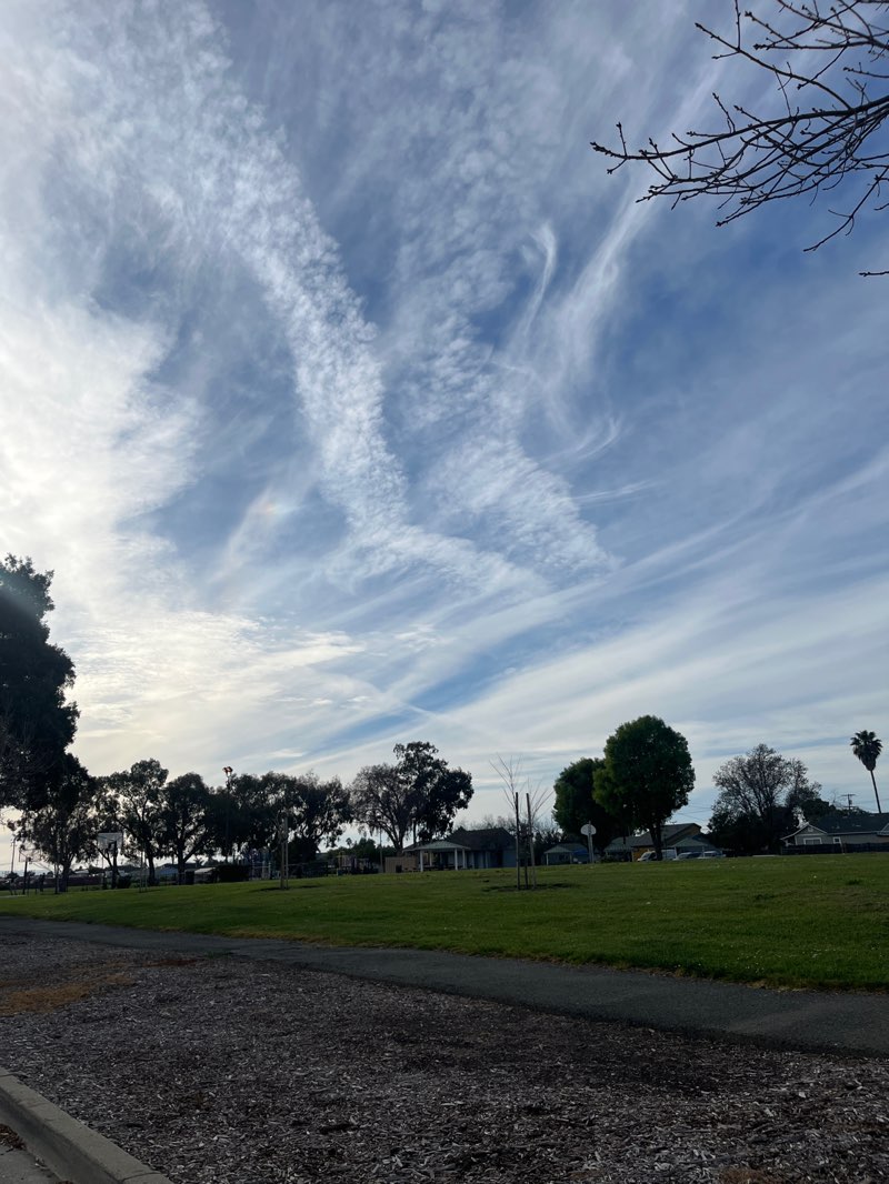 walking near me in Ash Street Park in spring