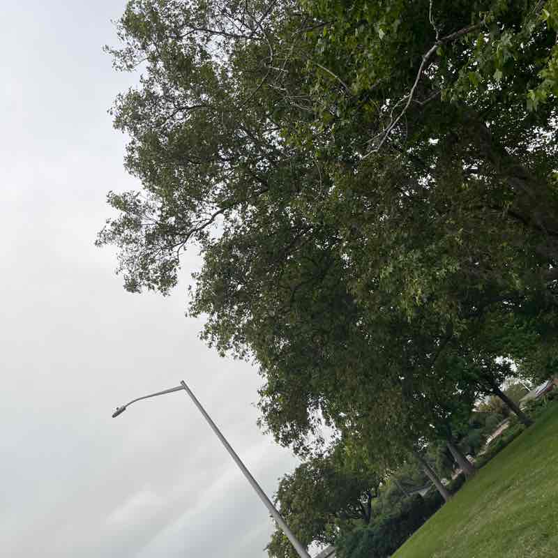 Roxyan post 1