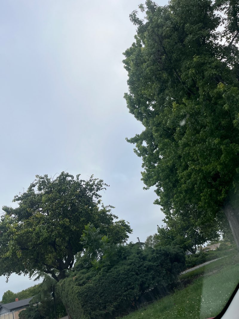 walking near me in Bridgepoint Park in spring