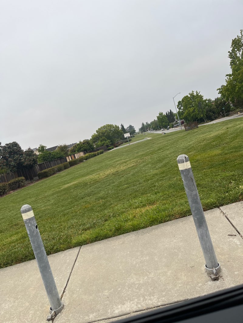 walking near me in Plomosa Park in spring