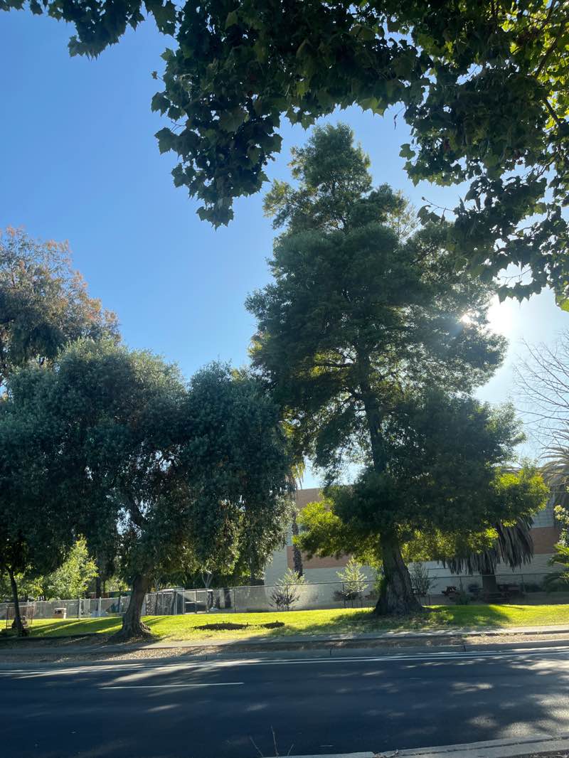 walking near me in Bell Street Park in summer