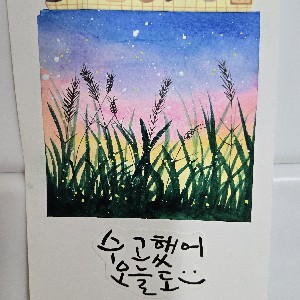 박초롱 40572 icon