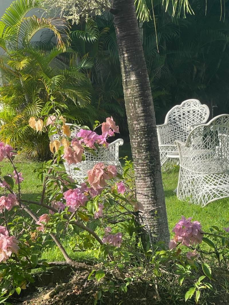walking near me in Parque Bosque del Otoño in autumn