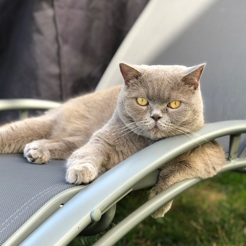 Paulina J. KS profile