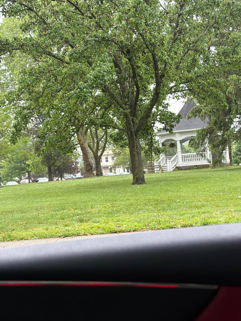 walking near me in Potter Park in summer