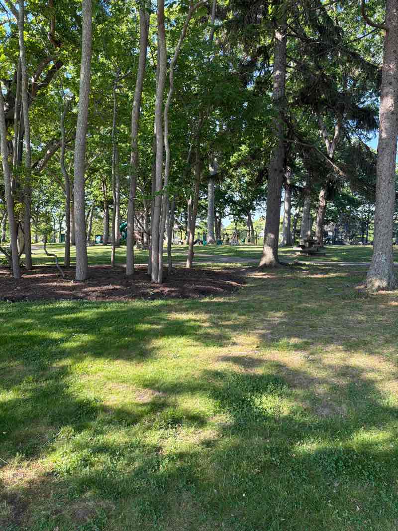walking near me in Devine Park in summer