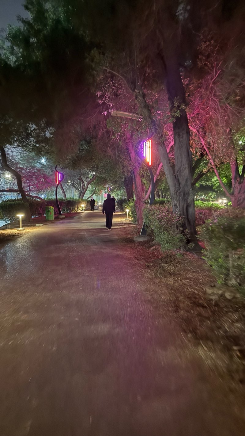 walking near me in Mishref walkway/park in winter