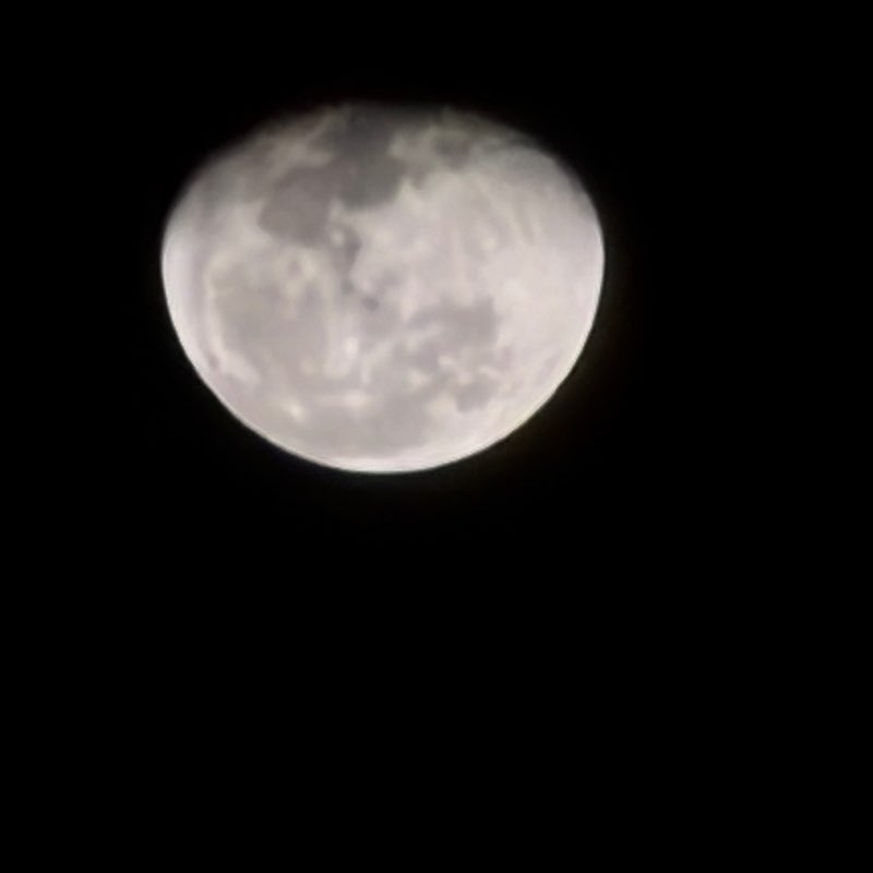 Vithiyapathy Purushothaman post 2