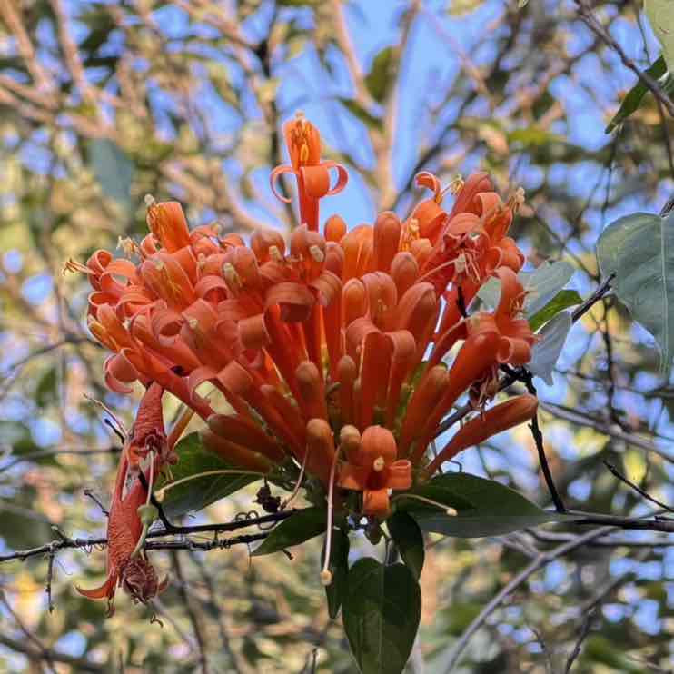 Vithiyapathy Purushothaman post 3