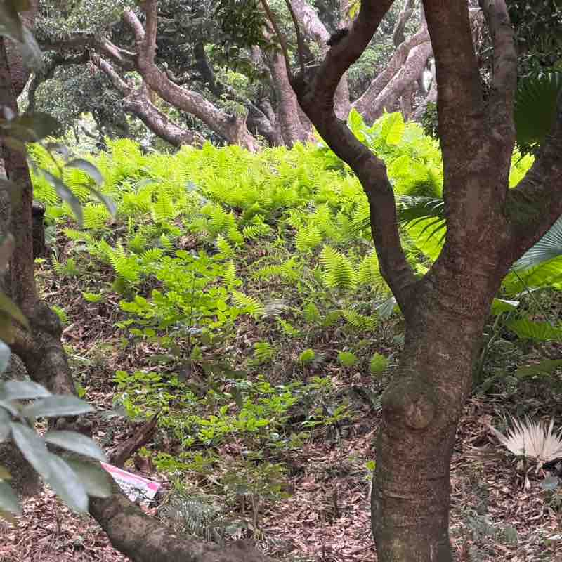 Vithiyapathy Purushothaman post 2