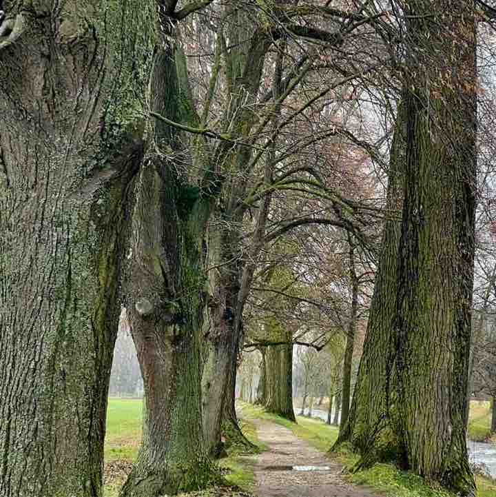 P.S. для своих ❤️ Anastasia post image