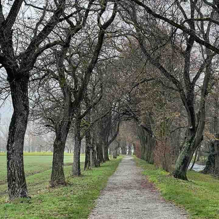 P.S. для своих ❤️ Anastasia post image